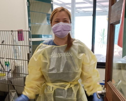Success Stories: Animal Hospital Placement for Ready For Work Client