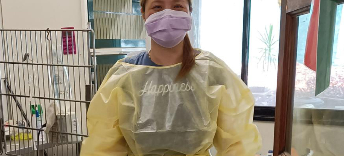 Success Stories: Animal Hospital Placement for Ready For Work Client